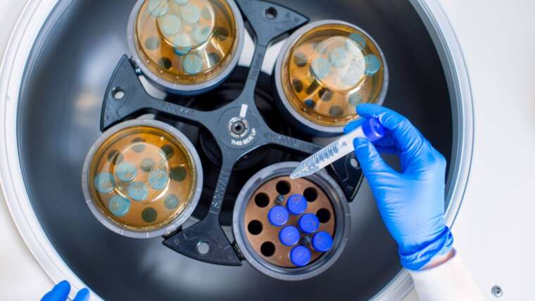 Congratulations to Two Myocarditis Researchers Affiliated with the Myocarditis Foundation!