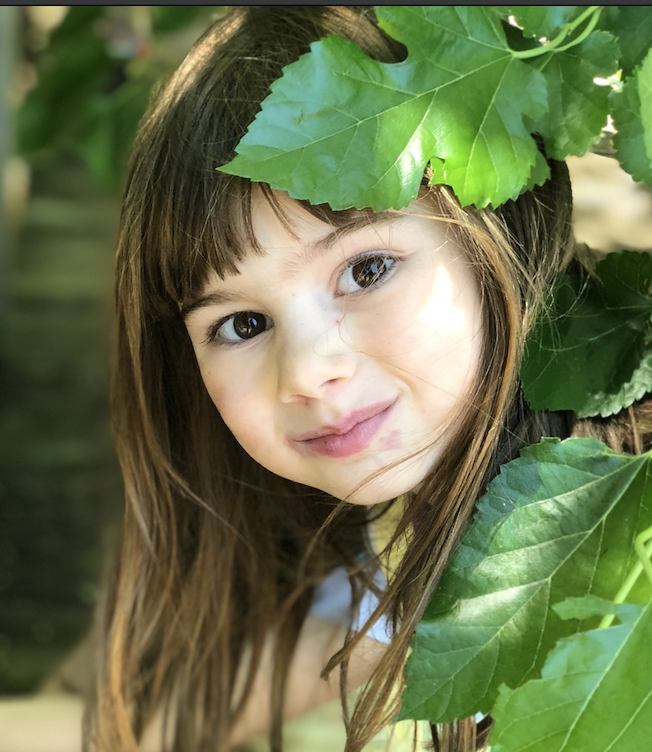 Millie Rose's Story