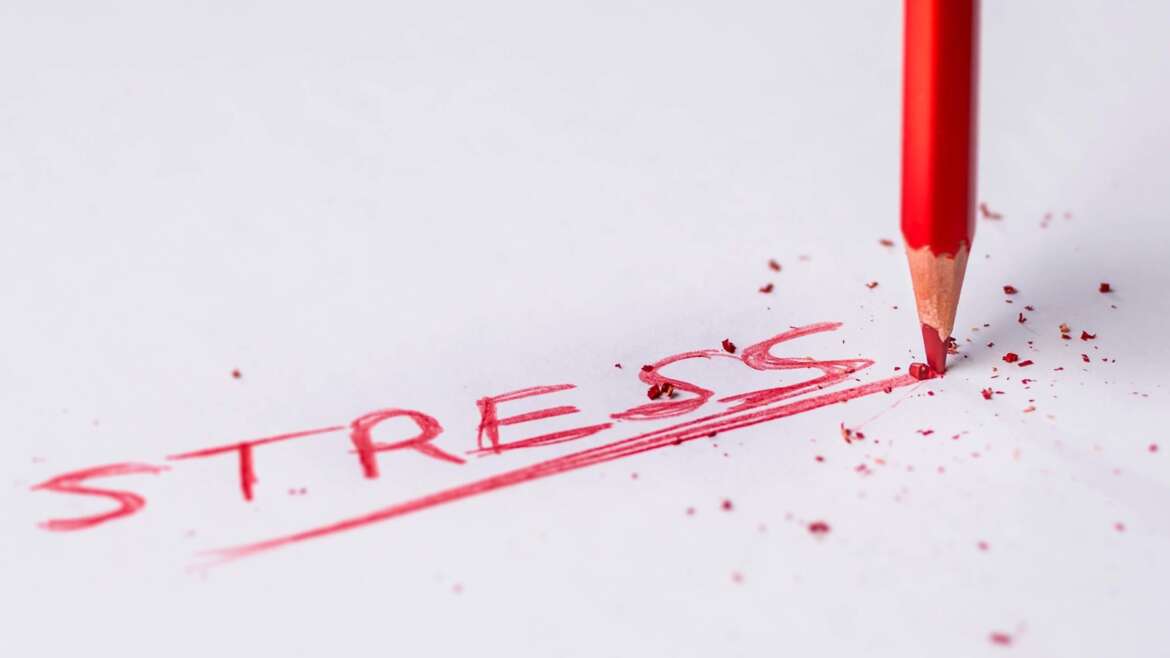 Stress and the Heart
